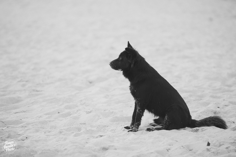 JesseMildred-Esession-FB-30