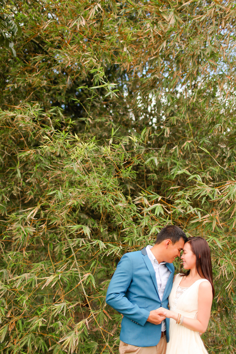 JonathanLej Prenup Blog10