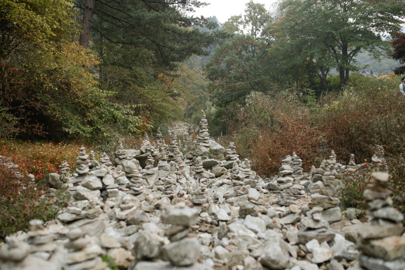 Odie x Tin Prenup Day 2 - 83