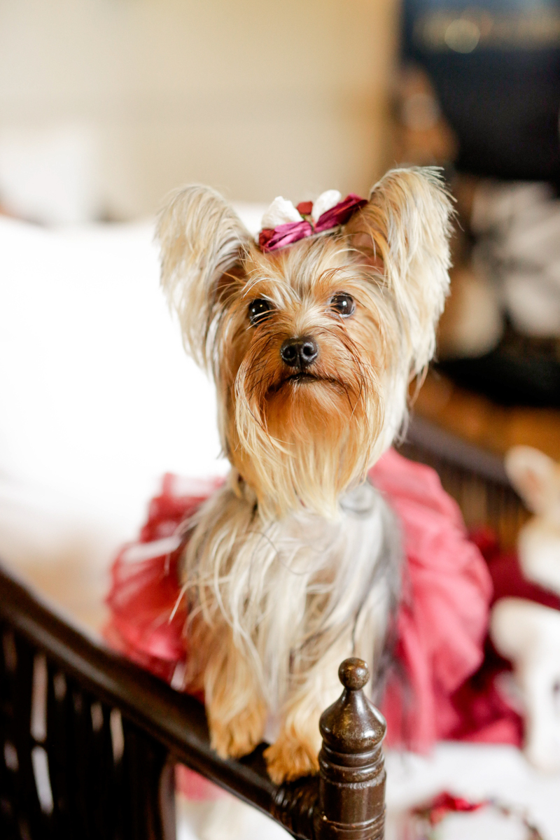 Jolo x Ish Wedding Blog-32