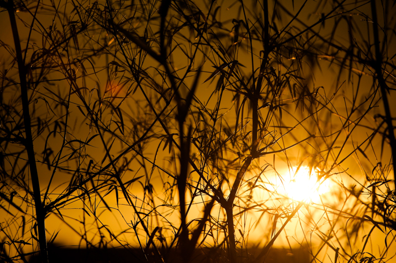 Ysrael x Thea Wedding Blog-127