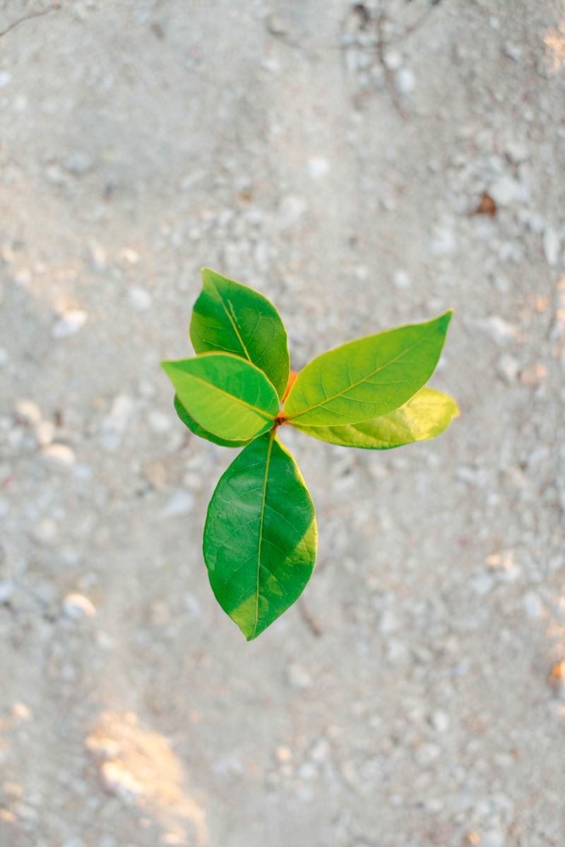 Tim x Kat Prenup Blog-79