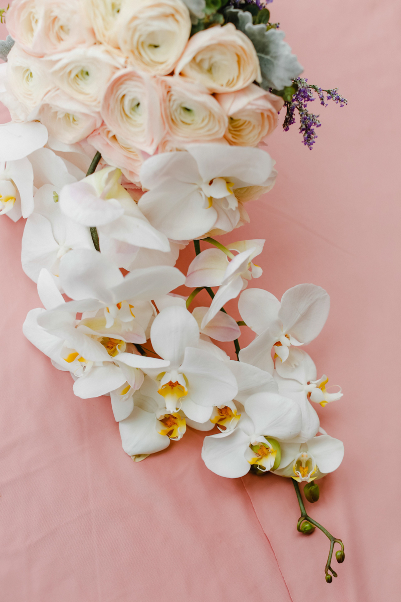 Johnson x Shirley-18