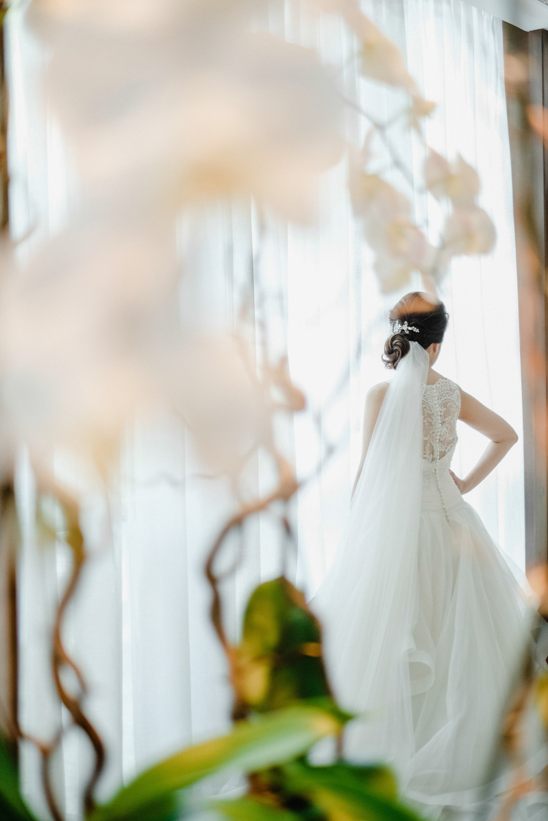 Johnson x Shirley-84