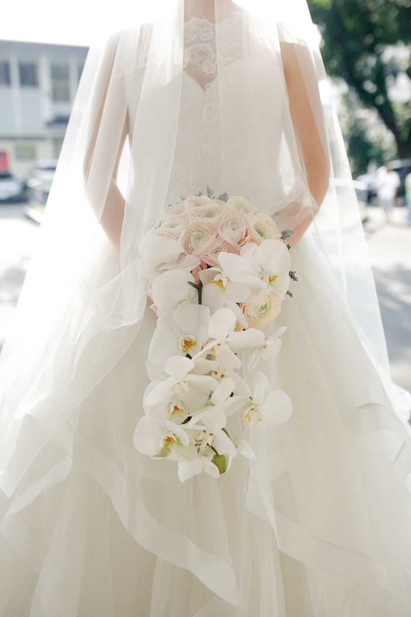 Johnson x Shirley-99