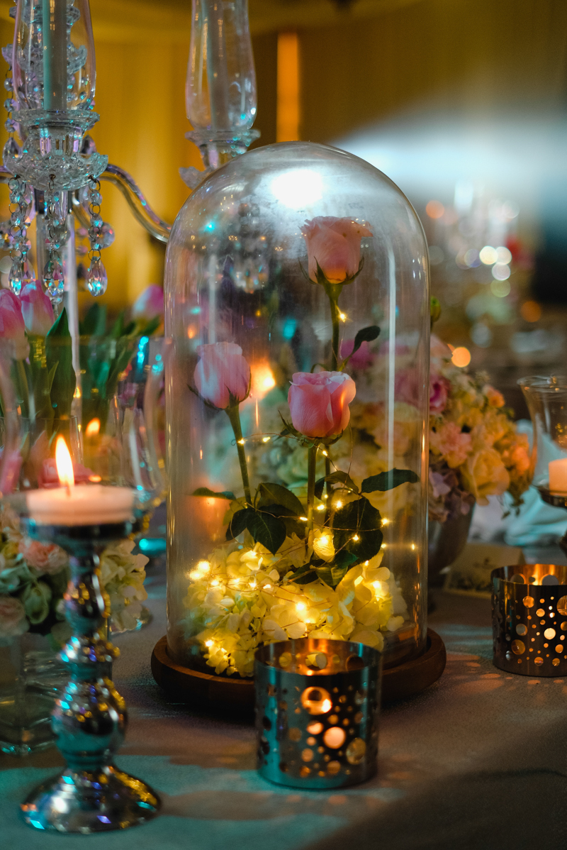 Nerwin x Diane W-134