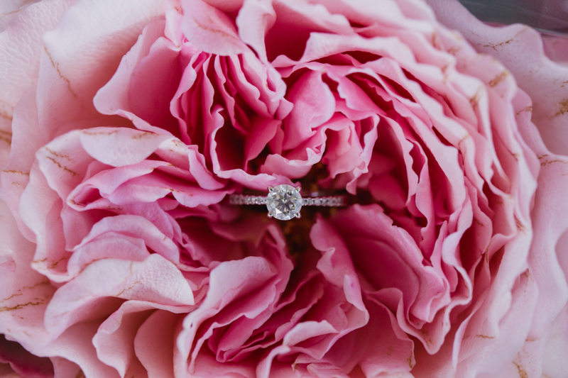 JM x Heshey W Blog-1