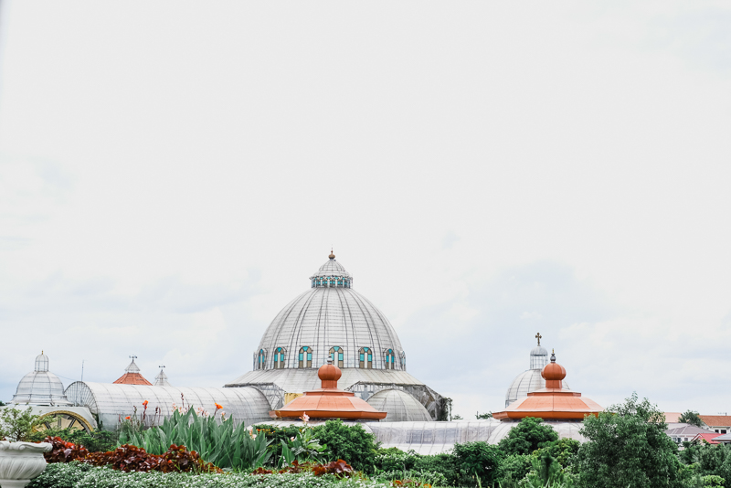 Allan Abby W Blog - 36