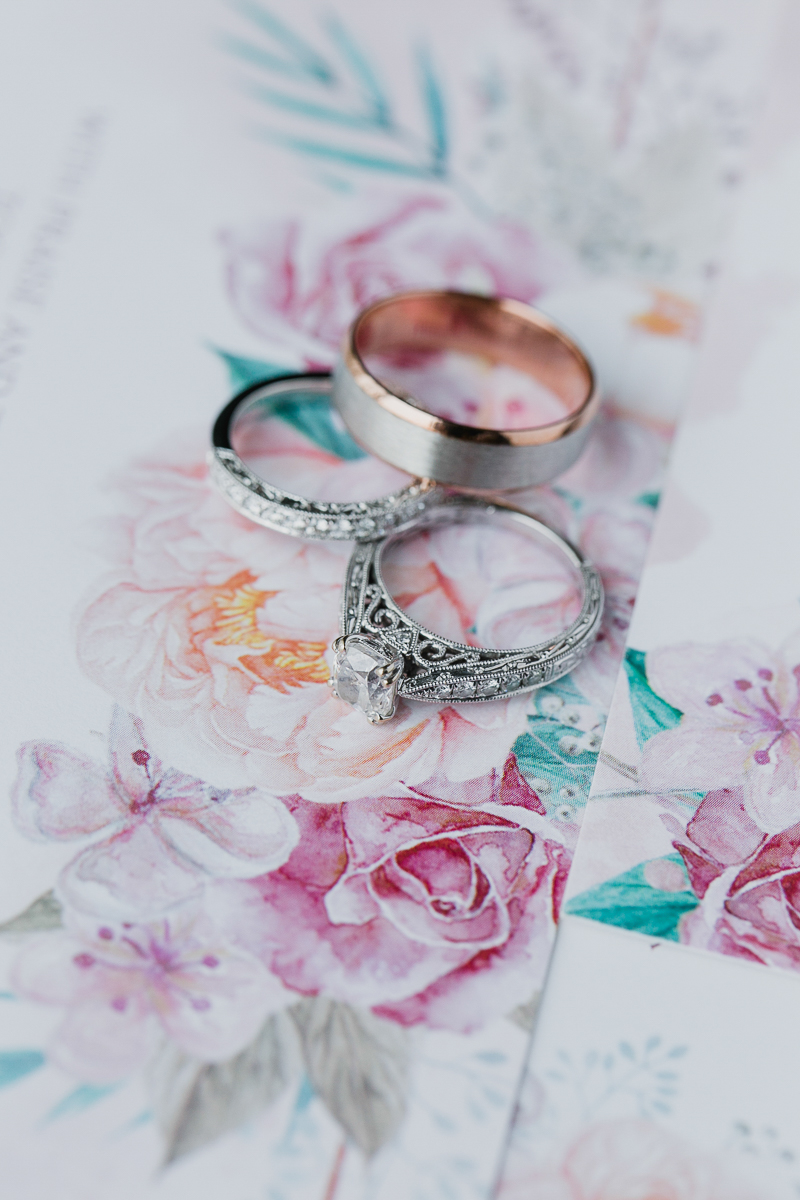 Allan Abby W Blog - 37