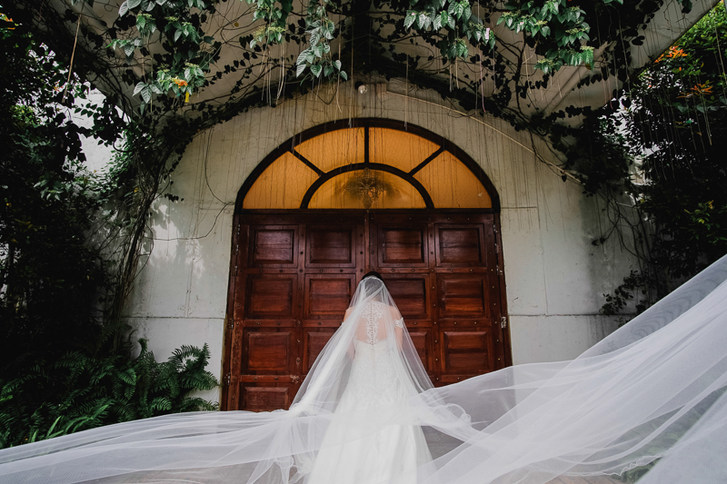 Allan Abby W Blog - 62