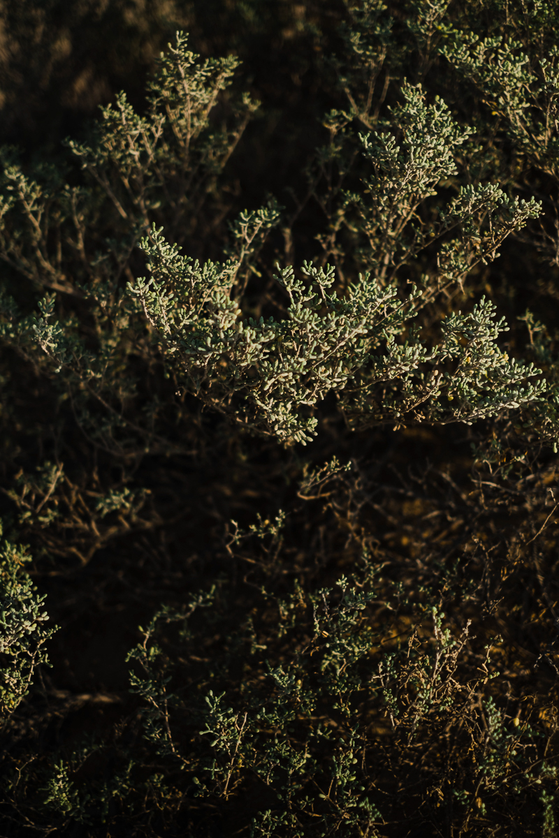 Errol x Jhoanne Prenup Blog-28