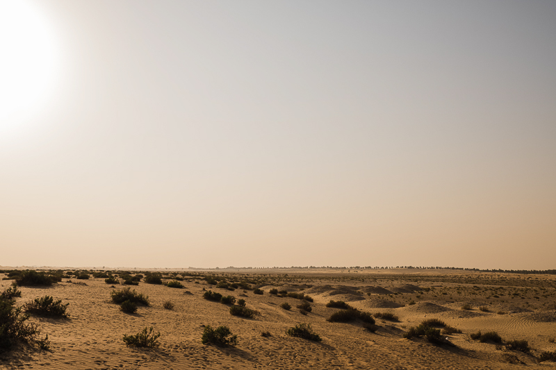 Errol x Jhoanne Prenup Blog-34