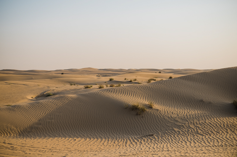 Errol x Jhoanne Prenup Blog-45