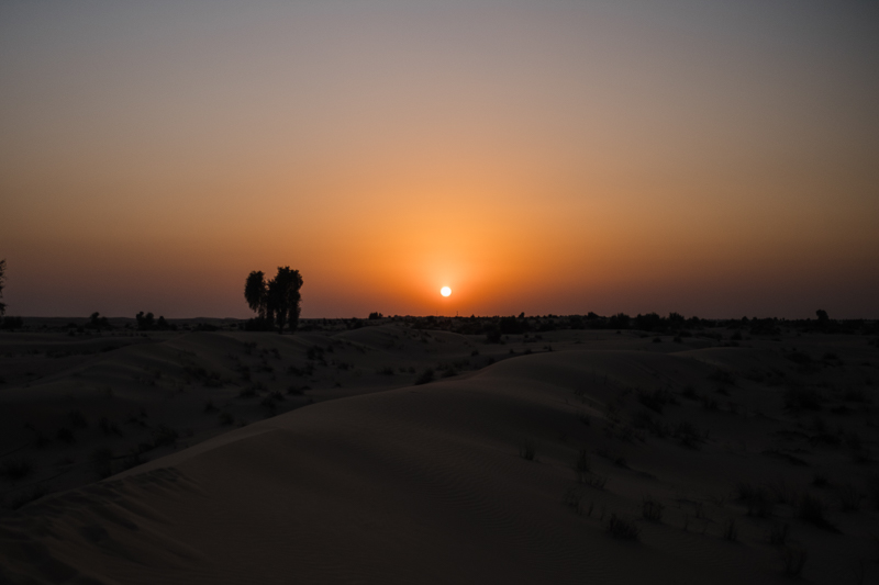 Errol x Jhoanne Prenup Blog-74