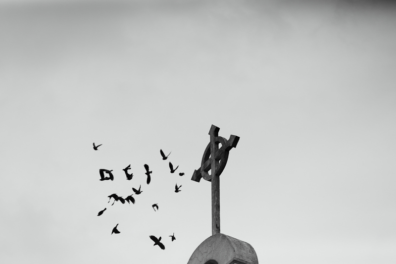 RJ Ivy Wedding Blog-61