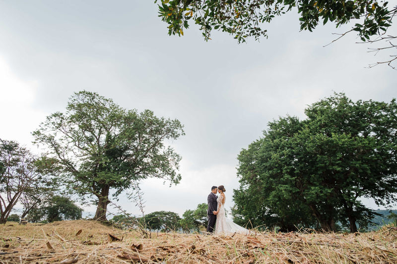 Bryan Pearl W Blog 12