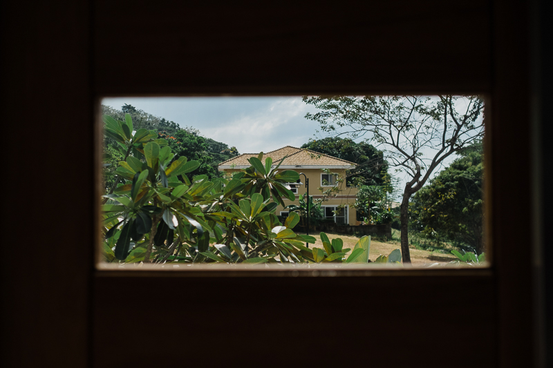 Bryan Pearl W Blog 66