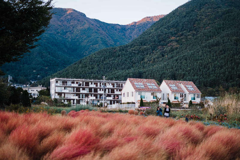 Niko Caris Prenup FB Blog-32