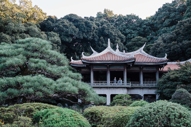 Niko Caris Prenup FB Blog-48