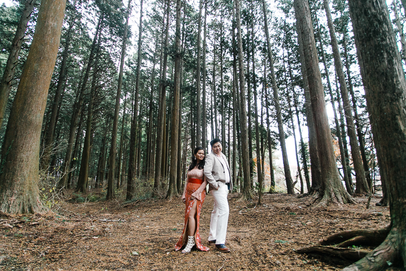 AaronIvy Prenup Blog FB-55