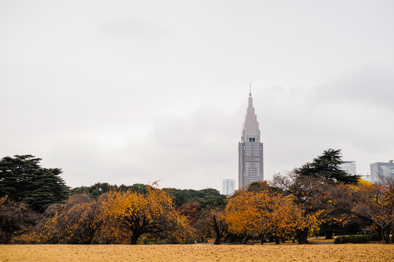 AaronIvy Prenup Blog FB-68