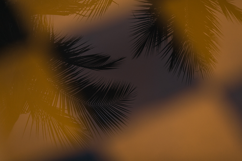 Angel x Kaye P Blog-57